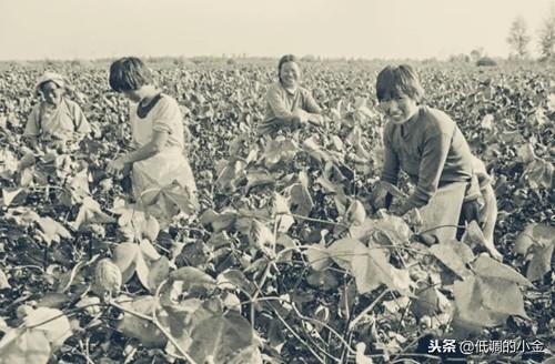 菏泽:90年代 记录中国城市历史的老照片 山东记