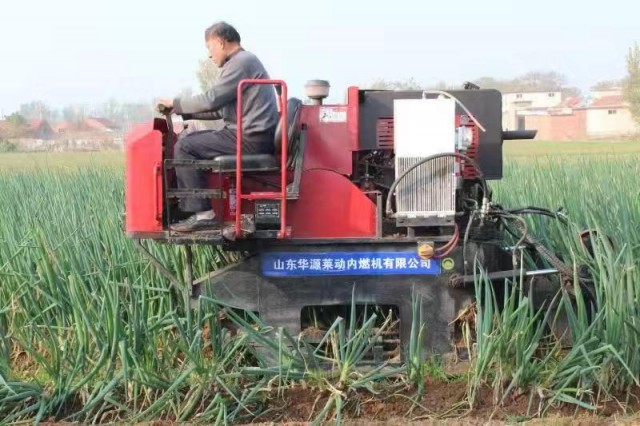 章丘大葱生产实现全程机械化 推进“两全两高”农机化 助力农业特色产业发展