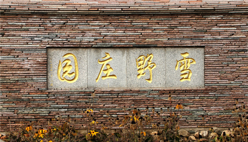 91
