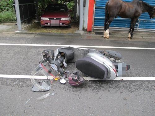 台湾摩托车女骑手称撞马摔车受伤 养马者否认