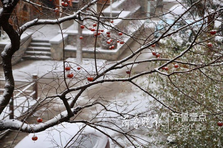 今冬头场雪，济南南部山区变成仙境