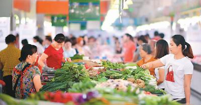 中国每年蔬菜集约育苗2000亿株