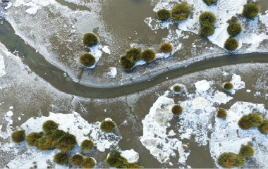 青岛胶州湾现大范围海冰 暂未对养殖业造成影响