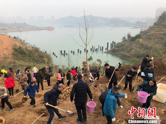 湖北宜昌推进全域生态覆绿 建长江生态廊道
