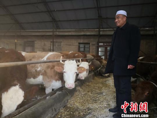 甘肃农民养牛也带“文艺范”：笔墨书写人生“溢”幸福