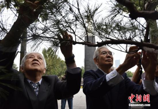 为南京大屠杀真相奔走40年的旅日华侨：坚持为遇难者发声