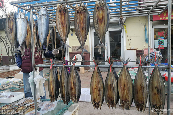 冬季青岛海鲜市场海鲜丰富满足供应