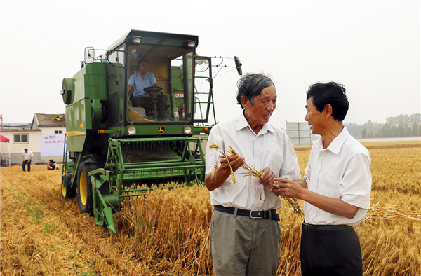 2014年，烟台小麦亩产800公斤关键技术示范成功并推广，全国领先。（张焕春）
