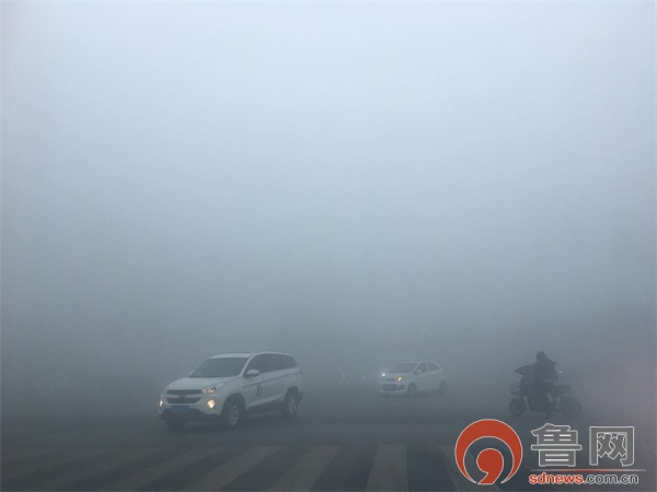 枣庄：大雾袭城 能见度不足百米