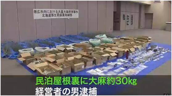 北海道男子私藏30公斤干燥大麻被捕，价值约1亿7千万日元