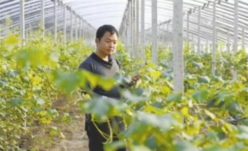 聊城：29名新型职业农民“持证”闯市场