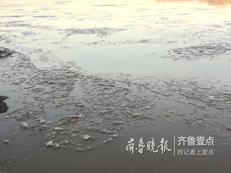 黄河济南段开始淌凌了！连续低温的结果
