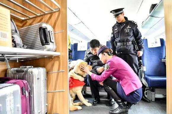 盲人夫妇携导盲犬乘高铁 列车长乘警关爱服务赢点赞