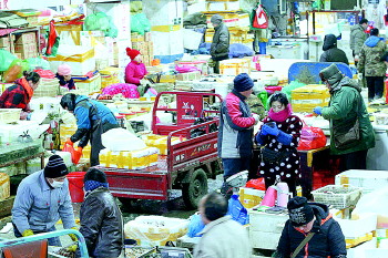 凌晨的济南海鲜大市场：忙碌，卖鱼人-12℃不带手套