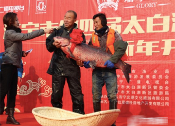 太白湖捕鱼节开幕 头鱼重81.8斤