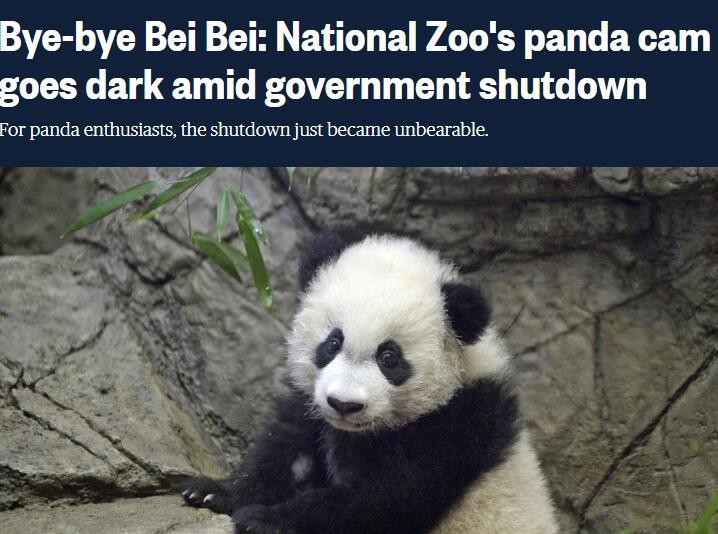 美政府关门连累动物园：熊猫直播被掐 粉丝们急了