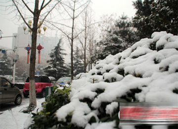 济宁2019年第一场雪悄然而至 城区银装素裹