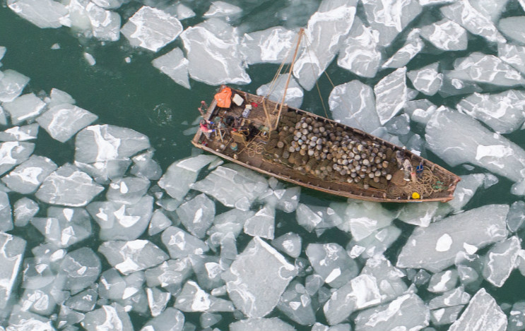 组图：烟台莱州湾海冰初现 最大厚度约5厘米