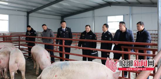 保障节日期间质量安全 临沂开展农畜产品专项检查