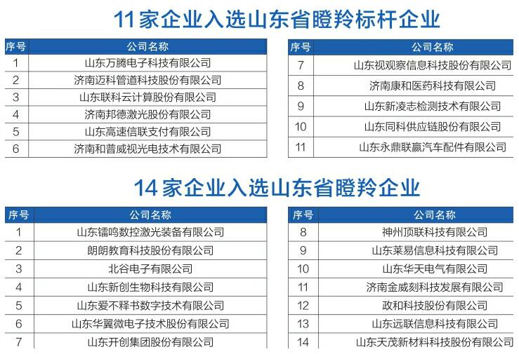 2018年度山东省瞪羚企业(第二批)榜单发布 济南25家企业上榜