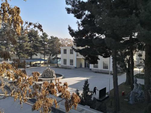 中使馆：阿富汗首都现炸弹袭击 暂无中国公民伤亡