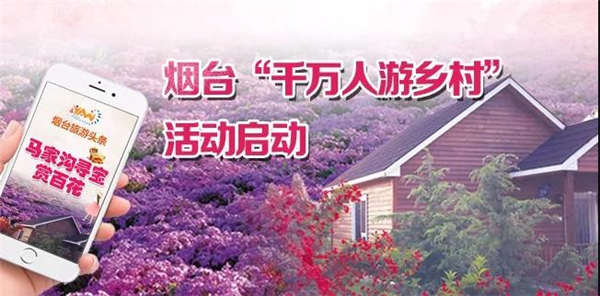 完美体育仙境海岸 鲜美烟台 烟台旅游网络营销获评全省年度十佳优秀案例(图6)