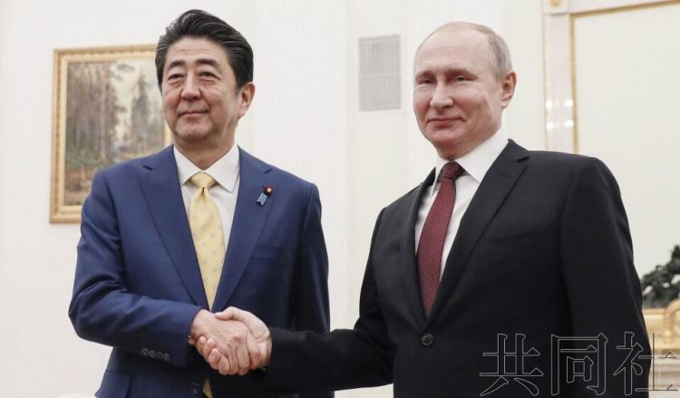 日俄首脑会谈就推进和平条约谈判磋商，安倍可能再度访俄