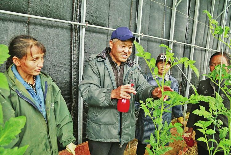 人民日报点赞的“济南老张”：“把湘西种植技术搞上去是我的责任”