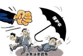 2018年聊城处结“保护伞”问题42起 1名市管干部自首
