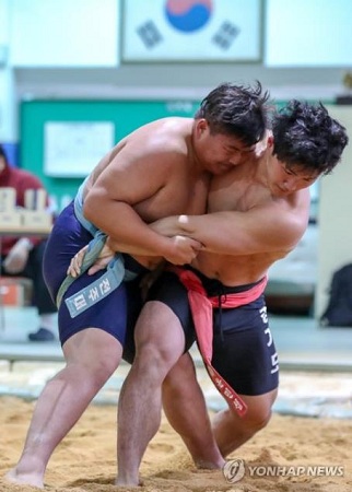 韩媒：韩朝下周讨论传统摔跤交流合作事宜