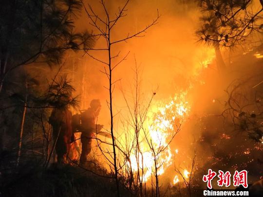 云南大理洱源春节期间发生森林火灾已被扑灭