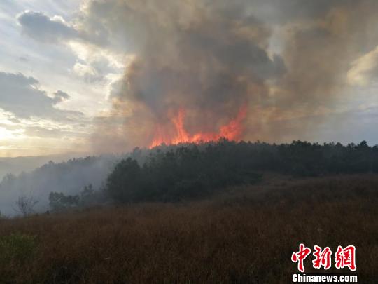 云南大理海东森林火灾得有效控制 部分地段仍存烟点