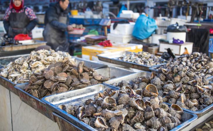 山东滨州：鲁北蔬菜批发市场节后货源充足迎开市
