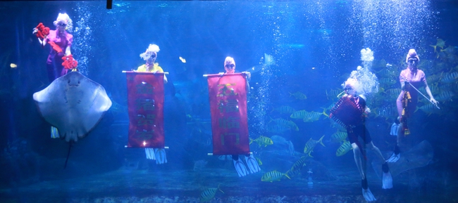 海洋世界美人鱼表演佩奇闹新春