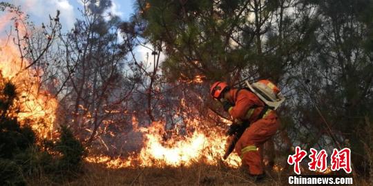 云南大理海东森林火灾明火已扑灭 过火面积约950亩