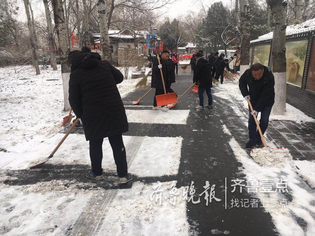 下雪后景区集体“换装”,今晚趵突泉灯会是否开灯待定