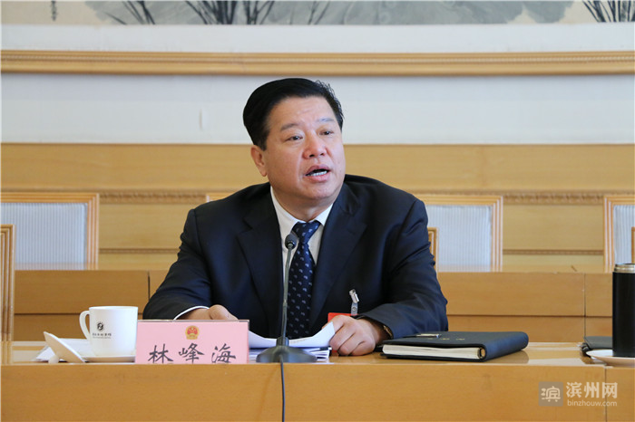 林峰海在滨州代表团审议省人大常委会和“两院”工作报告时指出 为新时代现代化强省建设 提供法治保障