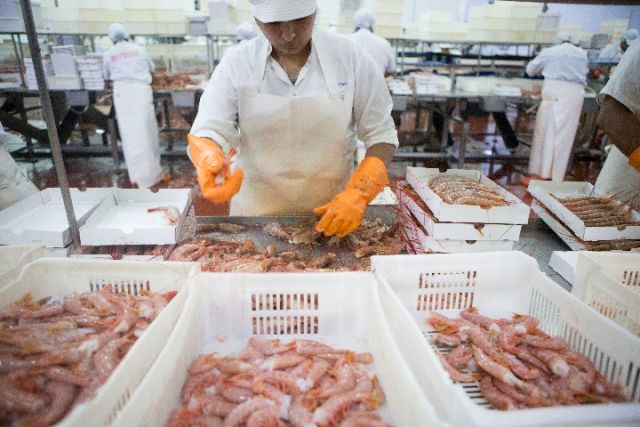 记者手记：阿根廷红虾征服中国人味蕾
