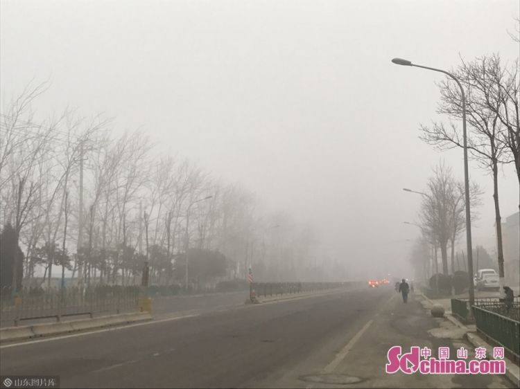 济南发布大雾橙色预警信号 局部地区能见度小于50米