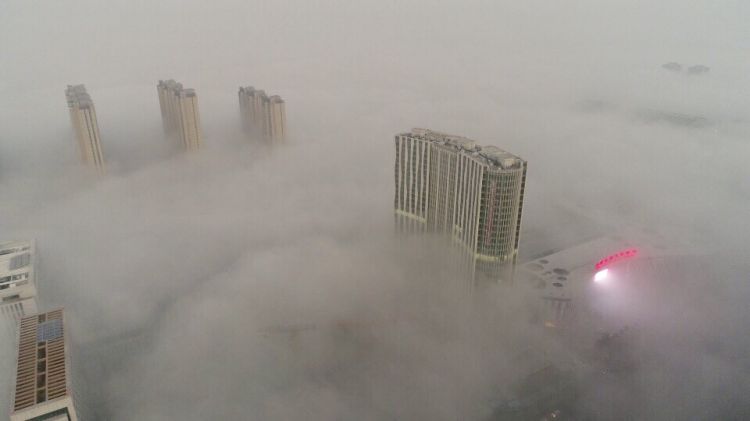 泉城现平流雾奇观 大雾约10层楼高