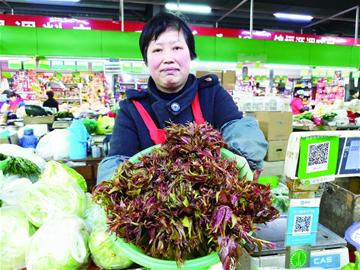 香椿荠菜抢鲜上市，香椿价格高每斤70至100元！