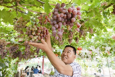 青岛拥13个中国驰名商标 锻造青岛农品品牌力
