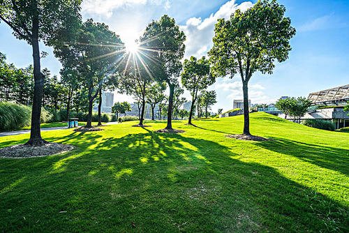 聊城：计划到2025年人均公园绿地面积达16.24平方米