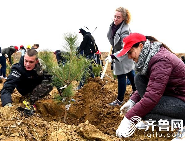 北交大（威海）的留学生进行植树活动