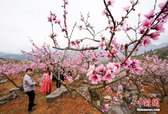 中国首批国家生态文明试验区绿色“颜值”攀高