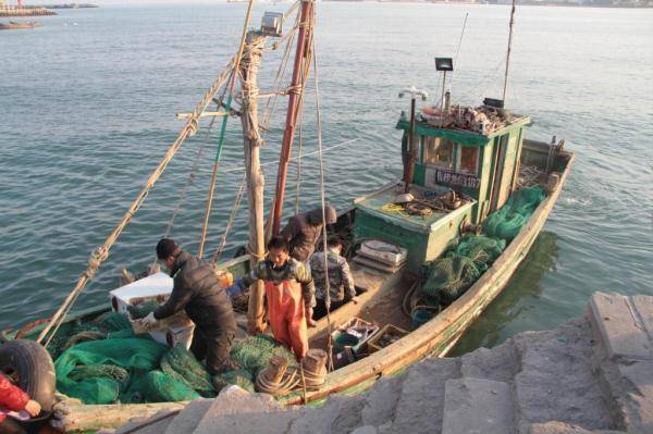 组图：青岛渔民一天捞80斤海鲜 上岸5分钟就被抢光