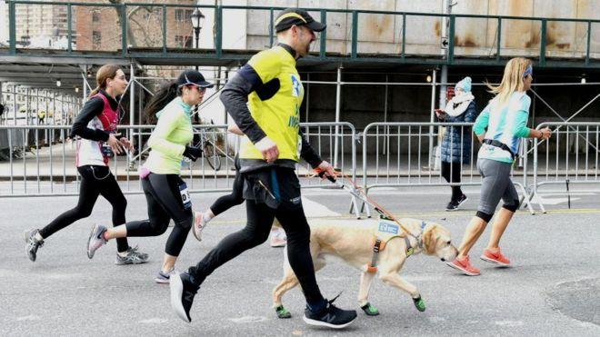 21千米！美国盲人跑者带导盲犬跑半马 其中一只终点退役