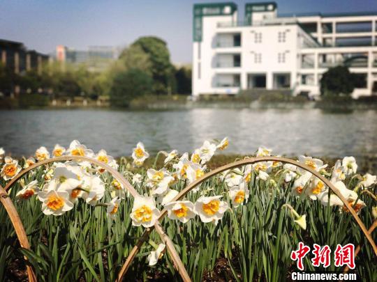 未来三日杭州气温“急升猛降”一周内体验“四季轮回”
