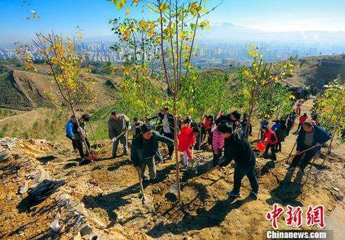 中国持续开展大规模绿化行动 人工林面积居世界首位