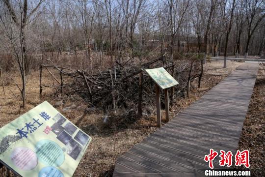 今年北京将建6处生物多样性恢复示范区